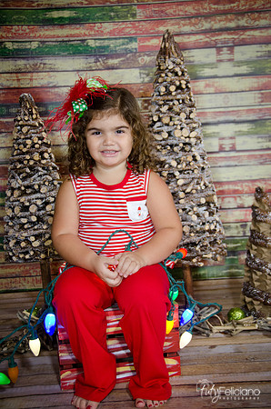 Navidad 2014-1572