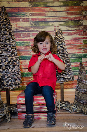 navidad 2014-11537