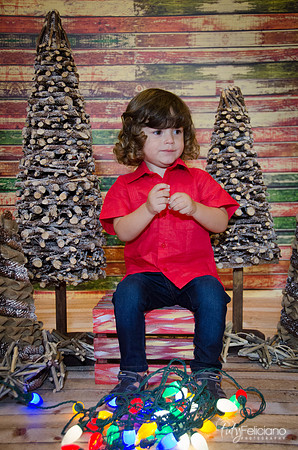 navidad 2014-11586
