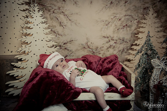 Navidad-3013