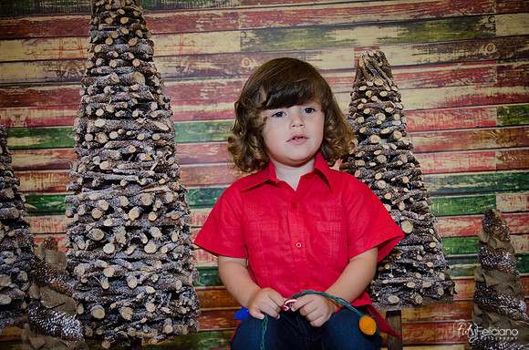 navidad 2014-11652