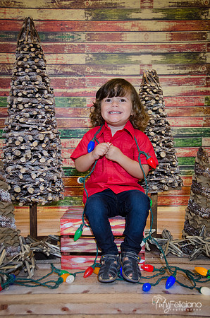 navidad 2014-11699