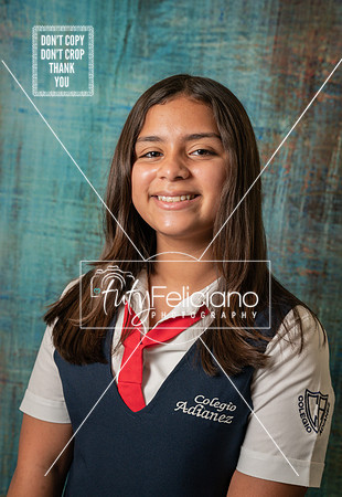 Adianez 3-1471