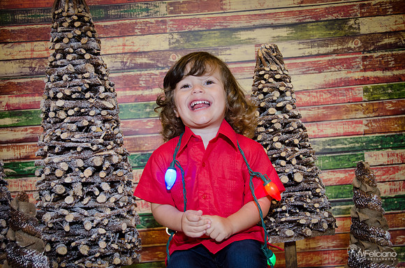 navidad 2014-11705