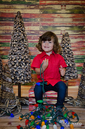 navidad 2014-11557