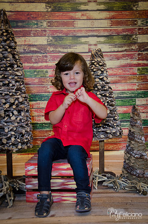 navidad 2014-11536