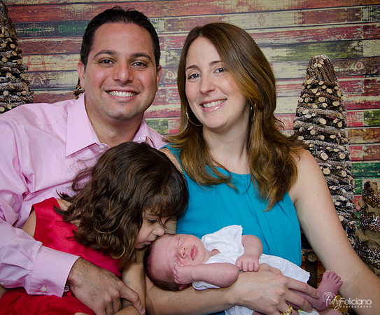 Navidad2014-121890
