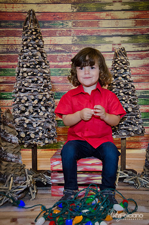 navidad 2014-11590