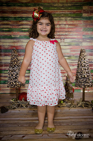 Navidad 2014-1139