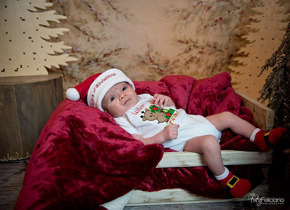 Navidad-3057