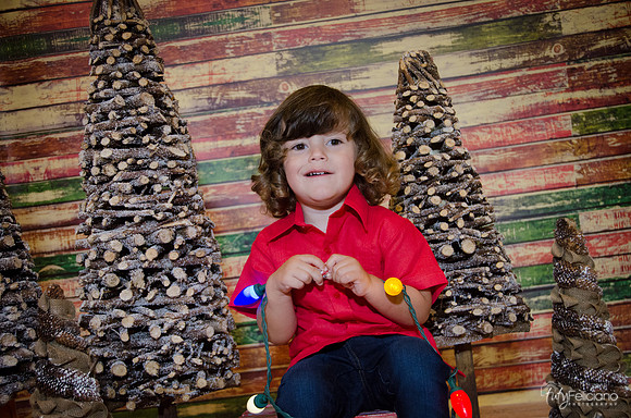 navidad 2014-11664