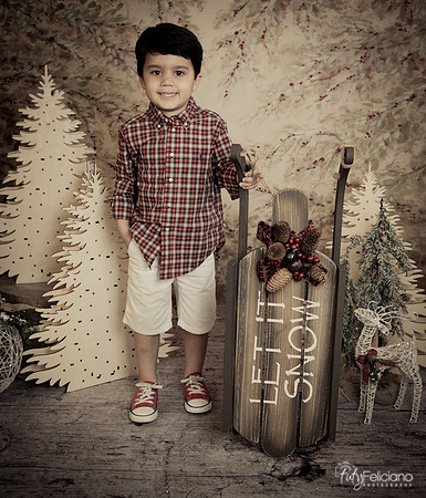 Navidad-18589