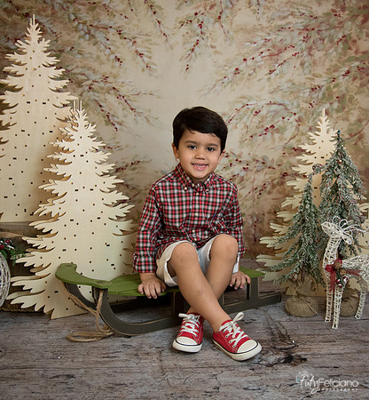 Navidad-18563