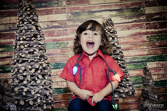 navidad 2014-11709