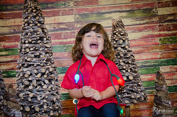 navidad 2014-11704
