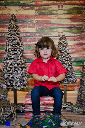 navidad 2014-11594