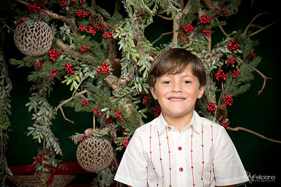 17 Nav-1172