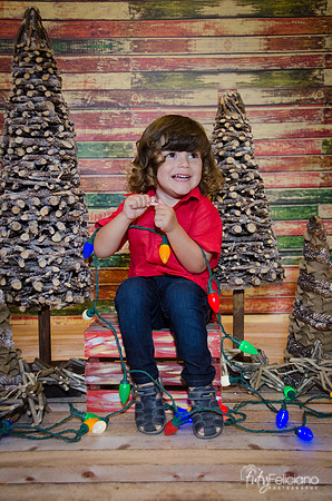 navidad 2014-11675