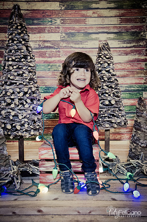 navidad 2014-11676