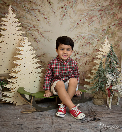 Navidad-18562