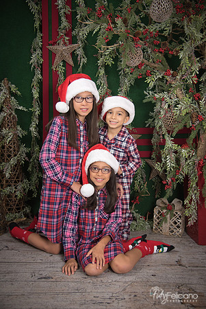 2017-Navidad-210