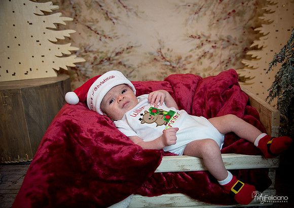 Navidad-3063