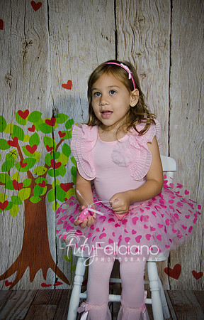 2014 Valentine-940