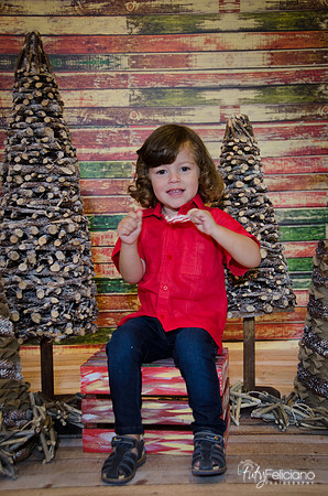 navidad 2014-11540