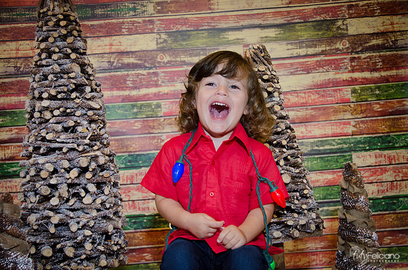 navidad 2014-11708