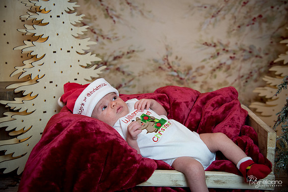 Navidad-3008