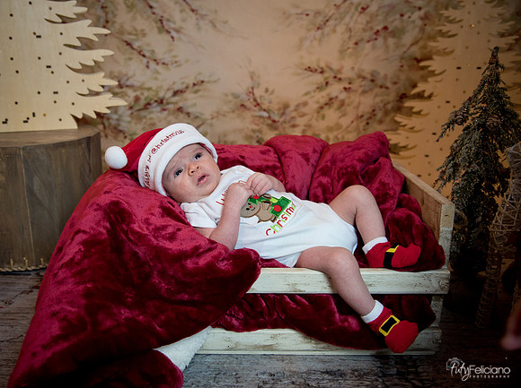 Navidad-3032
