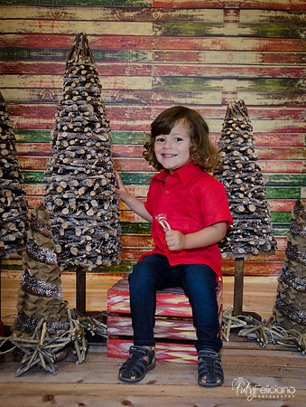 navidad 2014-11541