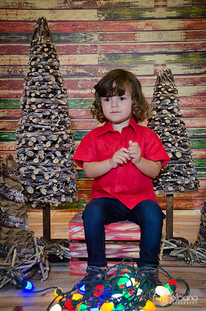 navidad 2014-11591