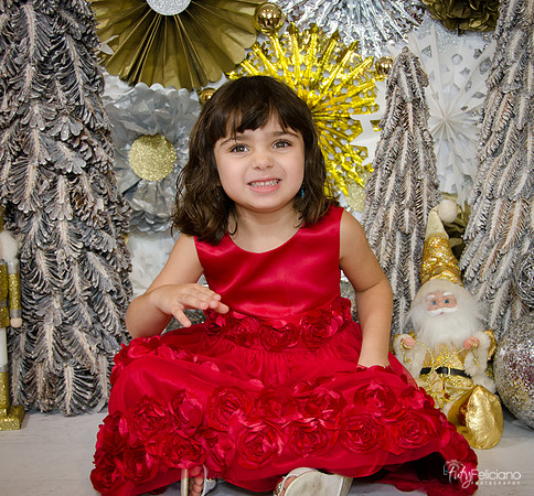 Navidad2014-121679