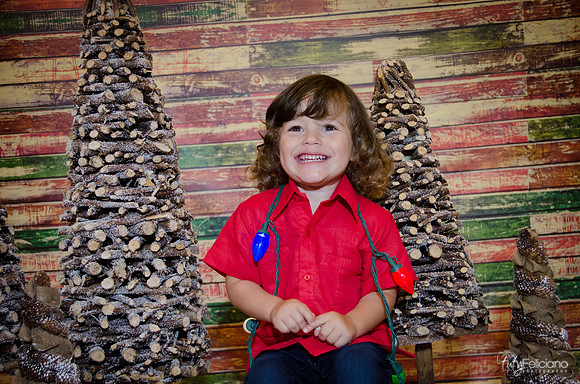 navidad 2014-11706