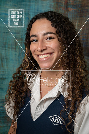 Adianez 3-1739