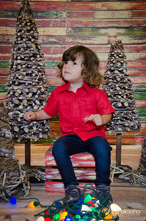 navidad 2014-11604
