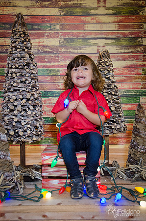 navidad 2014-11697