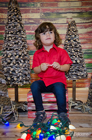 navidad 2014-11612