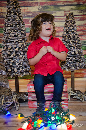 navidad 2014-11624