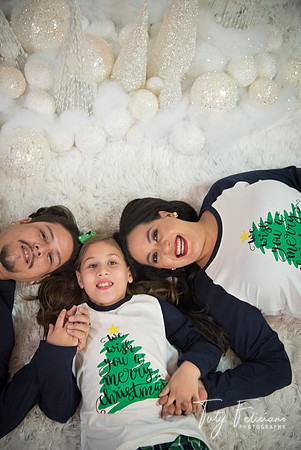 2018-fam-267