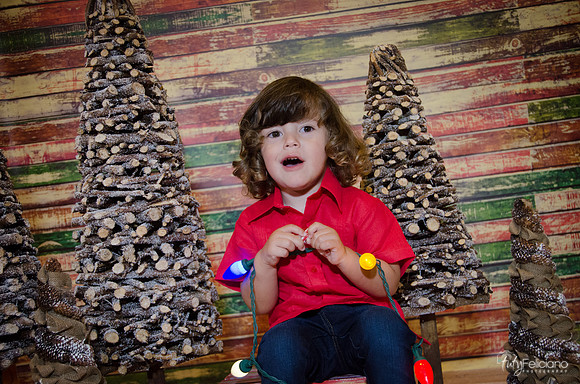 navidad 2014-11663