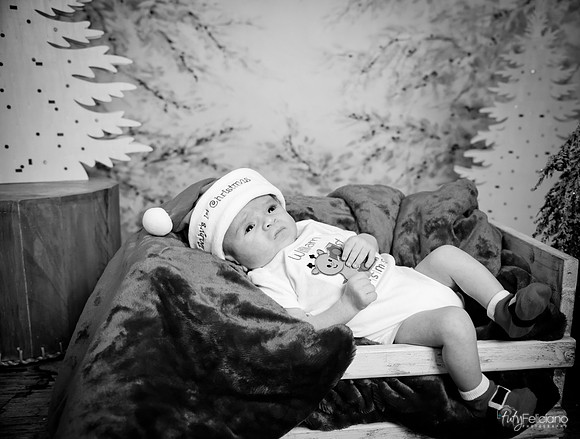 Navidad-3049