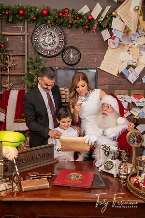 SME F-206