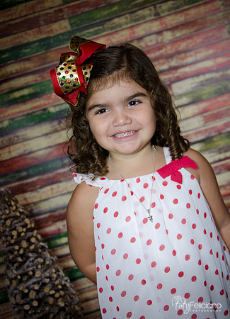 Navidad 2014-1195