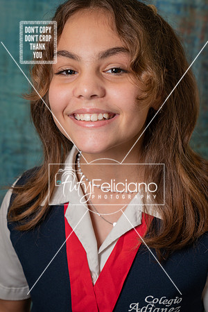 Adianez 3-1547