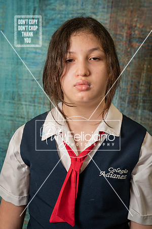 Adianez 3-1479