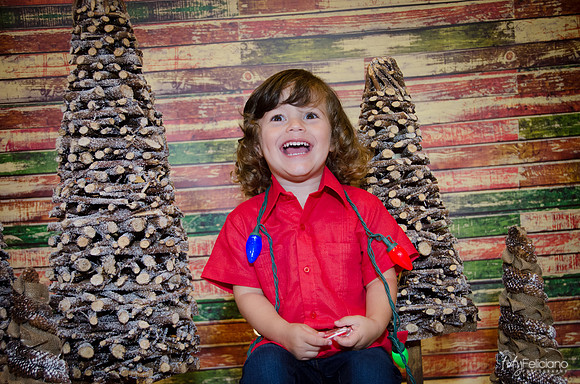 navidad 2014-11714