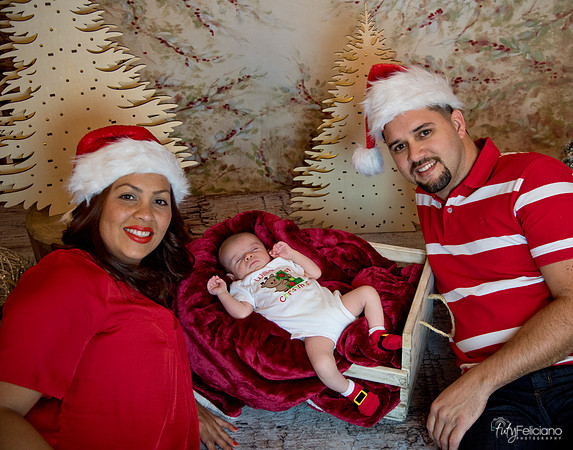 Navidad-3217