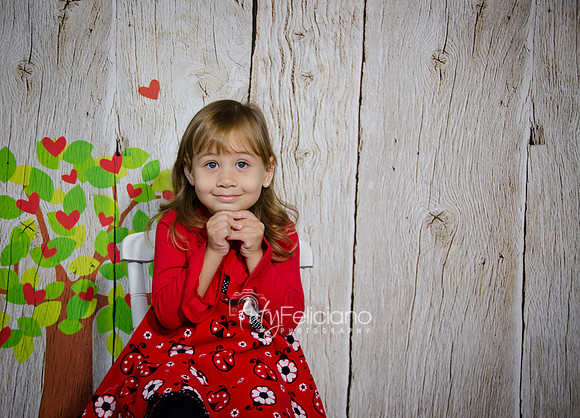2014 Valentine-98